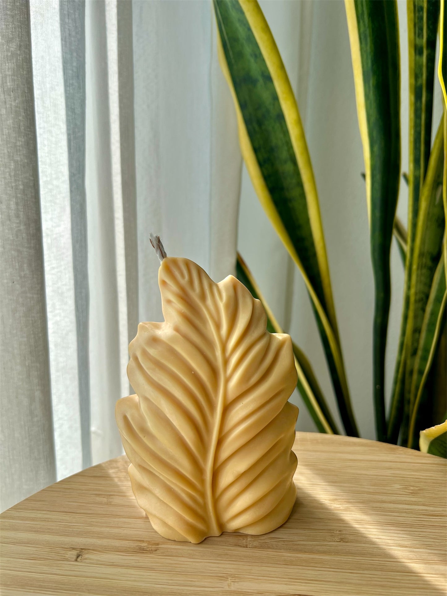 Vela Decorativa Hoja - Cera de soja