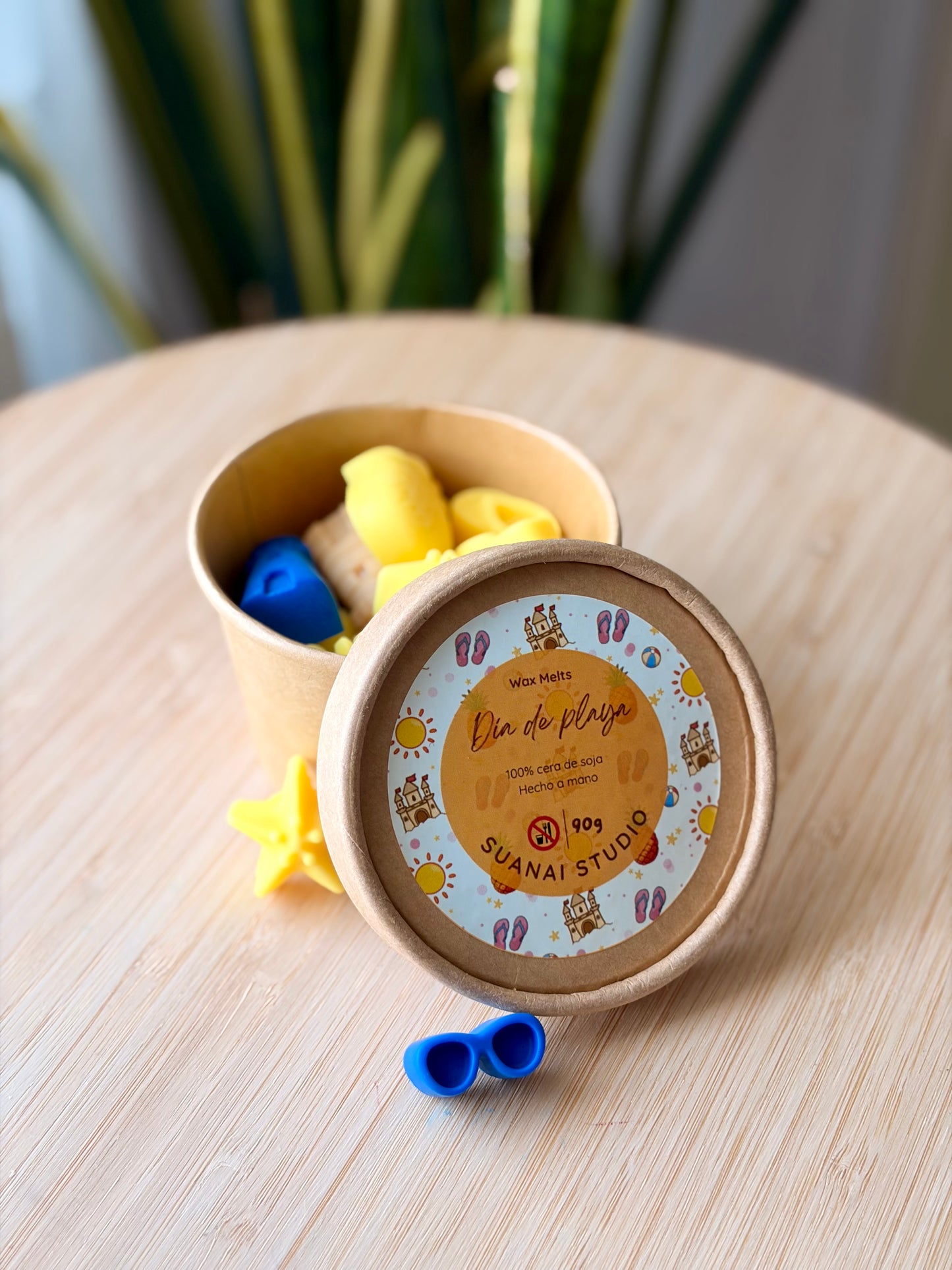 Wax Melts Día de Playa - Cera de Soja
