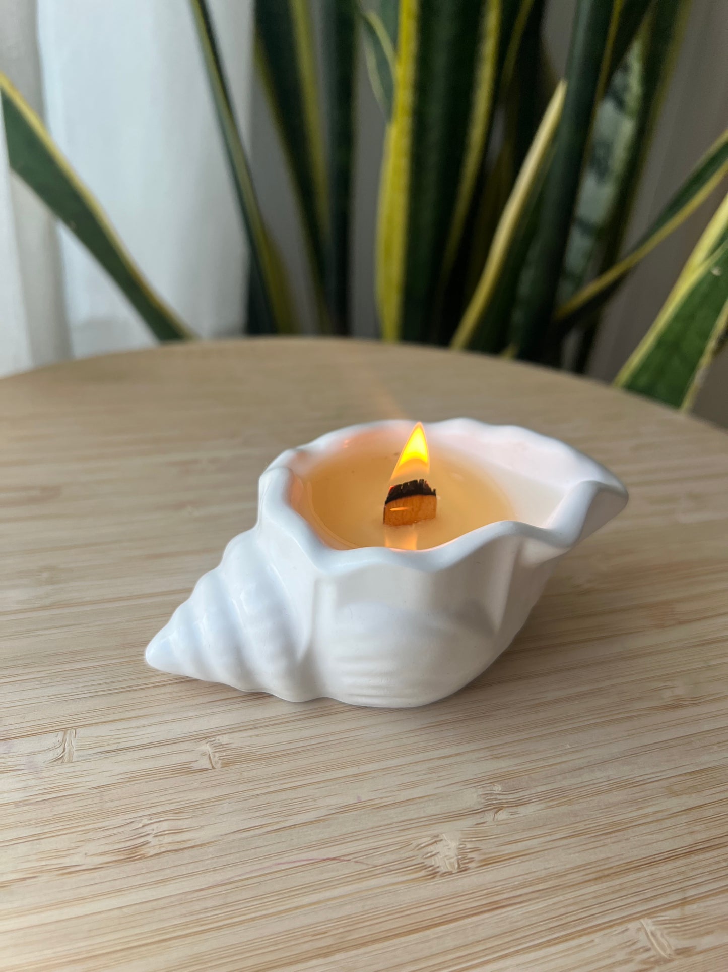 Vela Eco de las Olas -  Caracola Brisa Marina