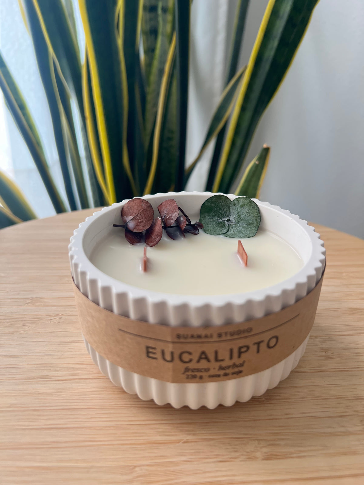 Vela Eucalipto – 220 g de cera de soja