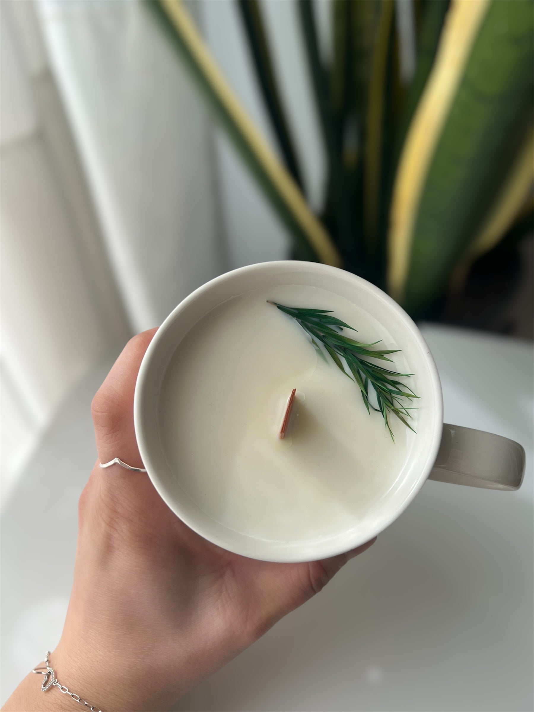 Vela en Taza Abeto - Cera de Soja y Mecha de Madera