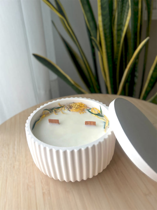 Vela Diente de León