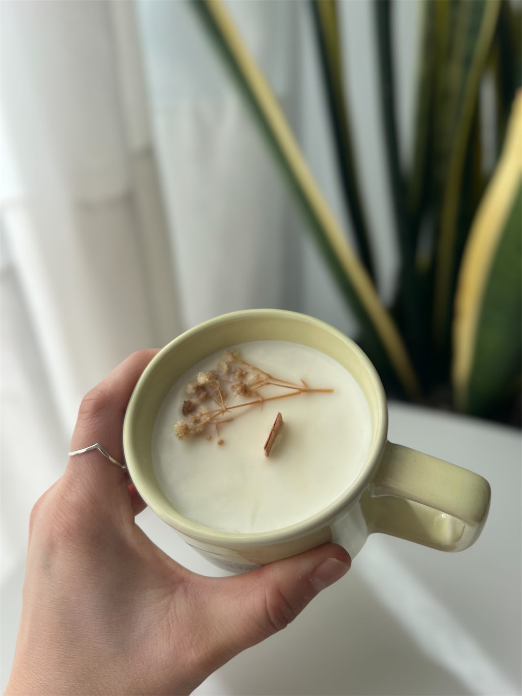 Vela Taza Pistacho Latte – Cera de Soja y Mecha de Madera