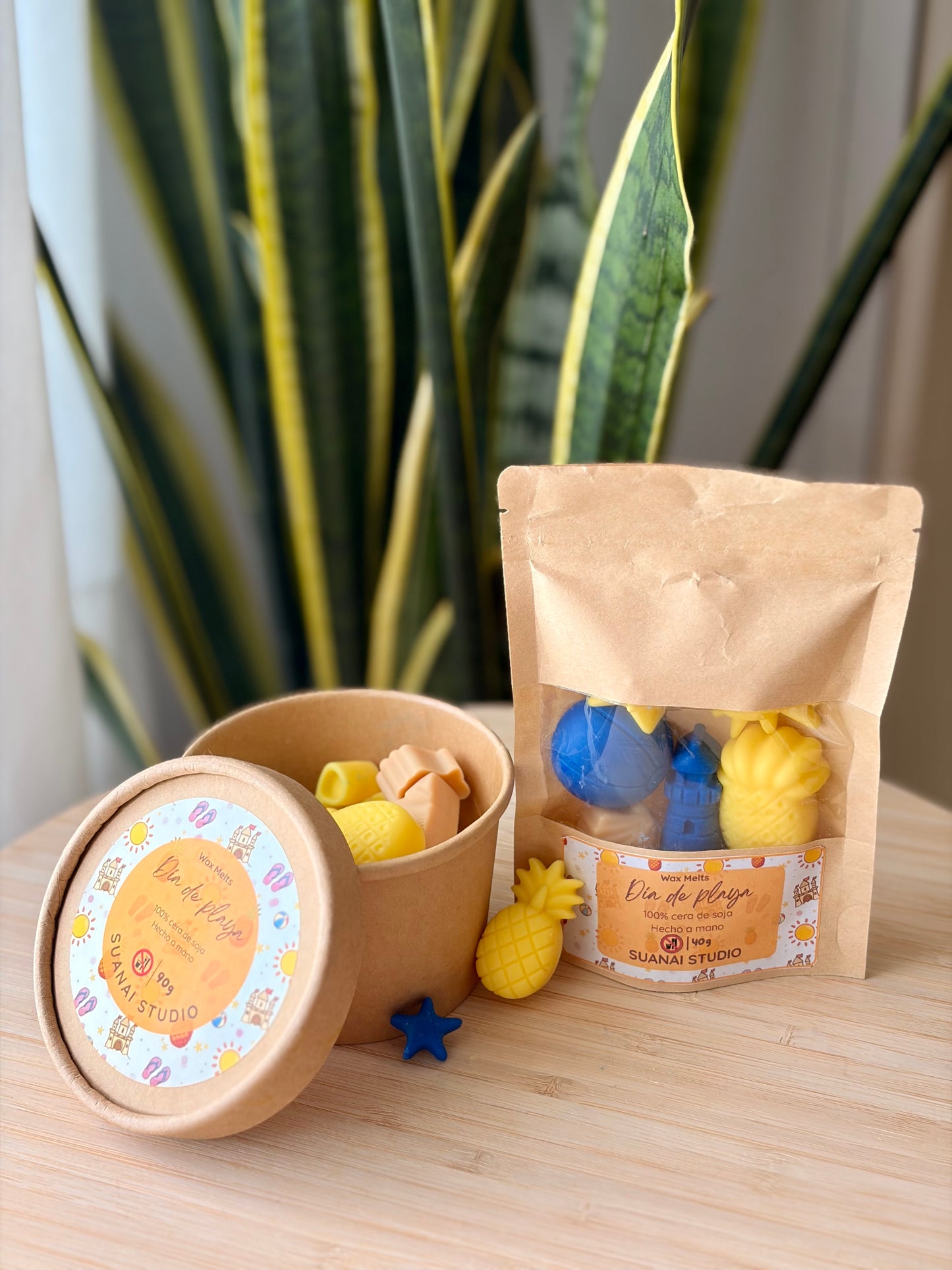 Wax Melts Día de Playa - Cera de Soja