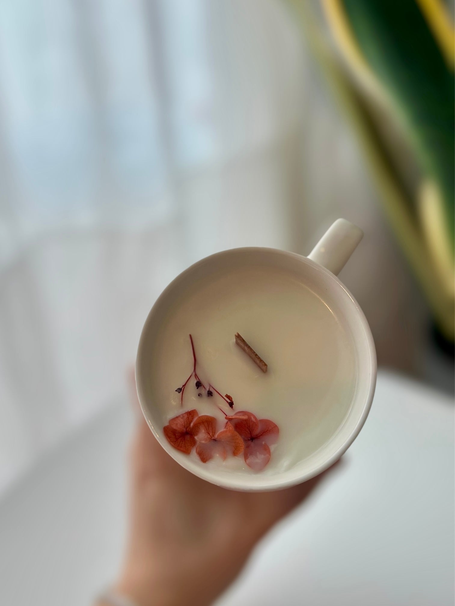 Vela en taza Lima y mandarina - Cera de soja y mecha de madera