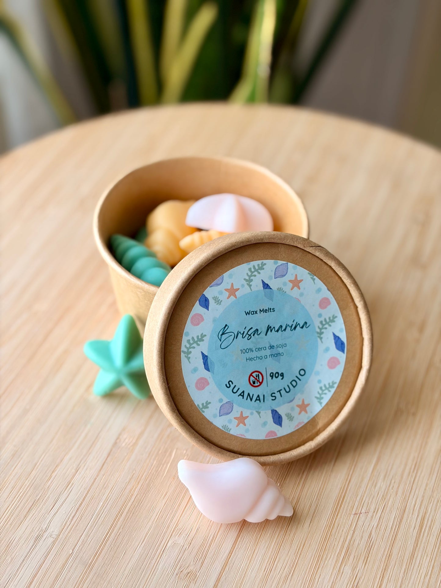 Wax Melts Brisa Marina - Cera de Soja