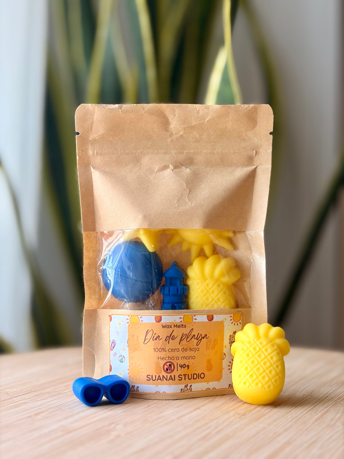 Wax Melts Día de Playa - Cera de Soja