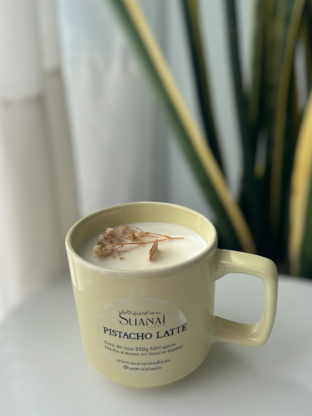 Vela Taza Pistacho Latte – Cera de Soja y Mecha de Madera