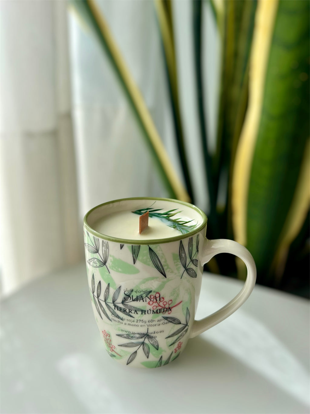 Vela Taza Tierra Húmeda – Cera de Soja y Mecha de Madera