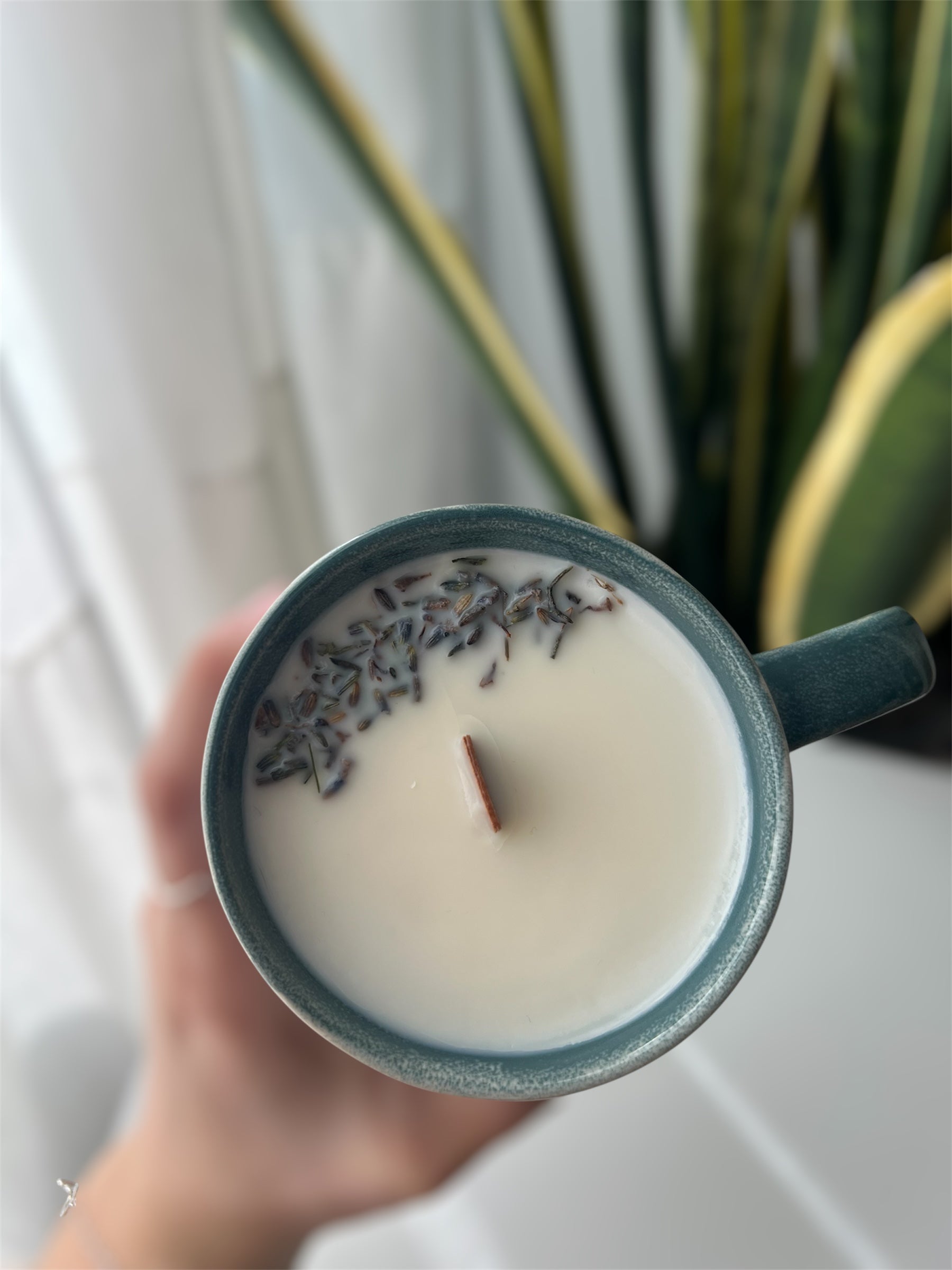 Vela Taza Lavanda - Cera de Soja y Mecha de Madera