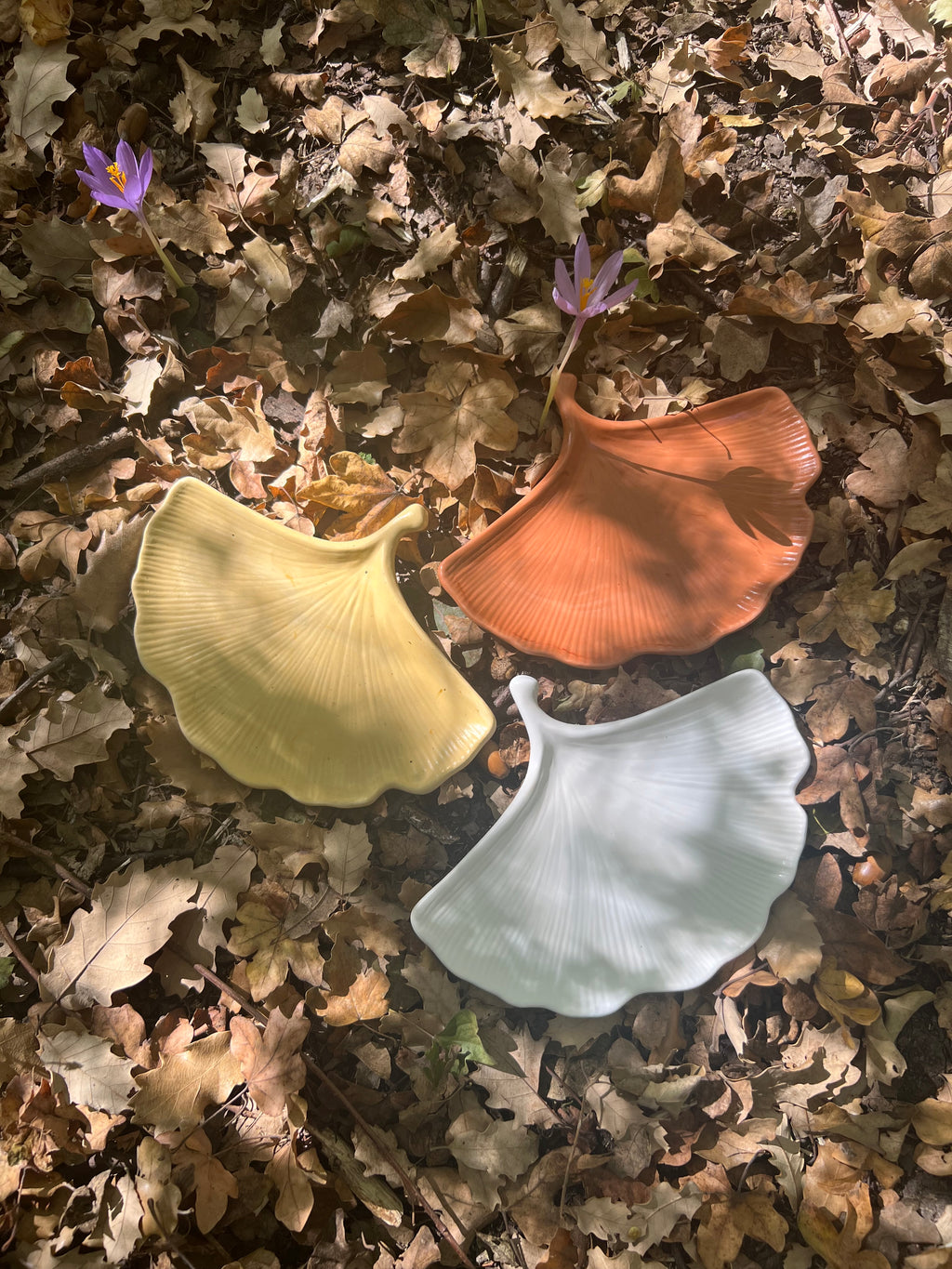 Bandejas artesanales de alabastro – Hoja de Ginkgo biloba