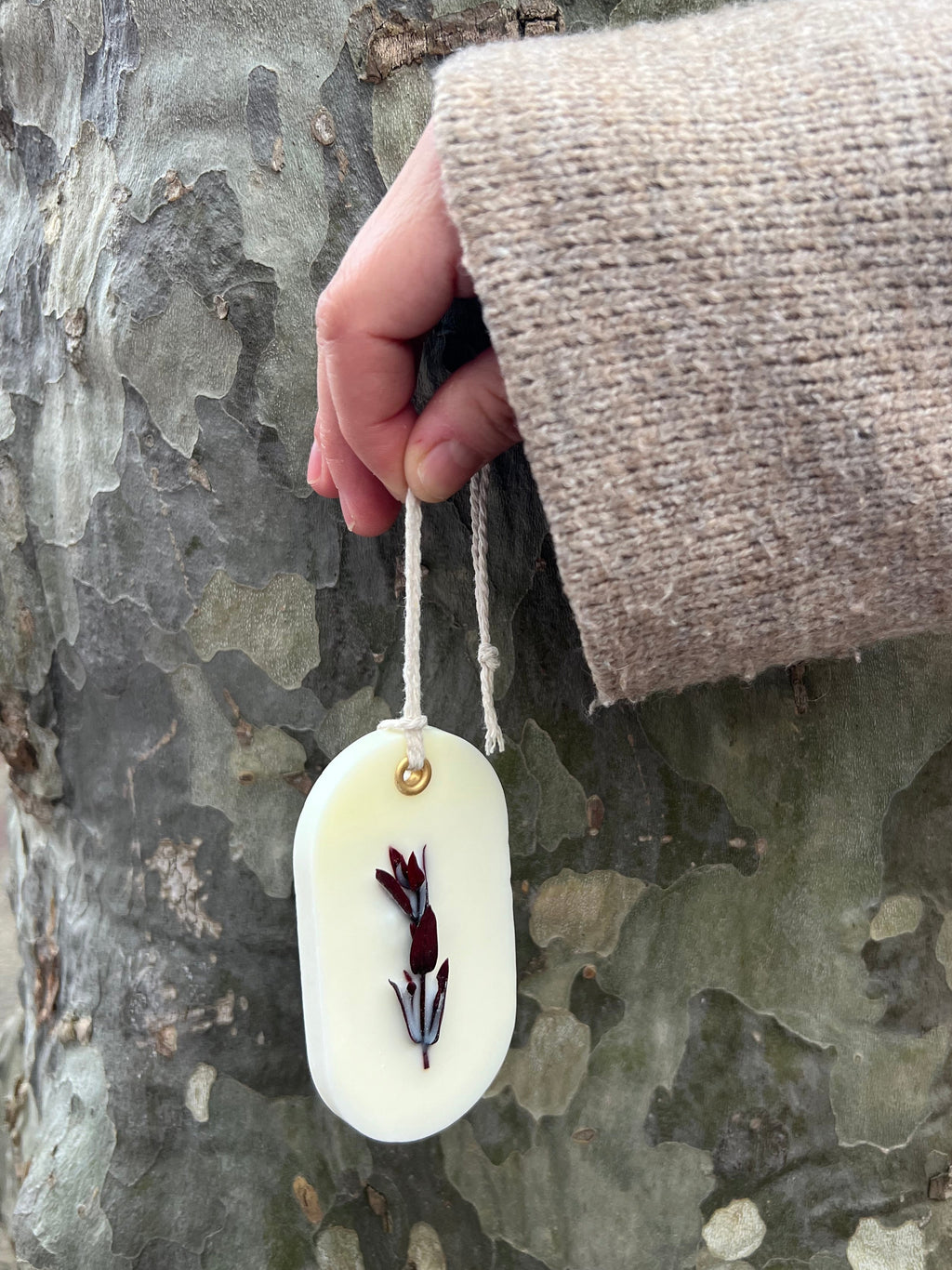 Ambientador de Armario Orquídea Negra y Lirio – Cera de Soja Natural